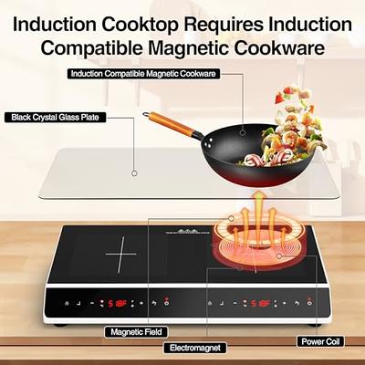 VBGK Electric Cooktop,110V Electric Stove Top,Single Burner Electric  Cooktop LED Touch Control,9 Power Levels, Kids Lock &Timer,Overheat