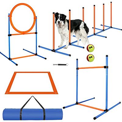 Huansihan Interactive Dog Enrichment Toy, Snuffle Ball for Boredom Dogs and  Puppy Mental Stimulation Sniffle Interactive Treat Game for Small/Medium