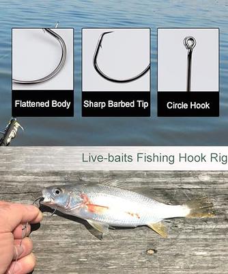 50Pcs Catfish Bait Hooks Live Bait Hooks Saltwater Live Bait Circle Hooks  Stainless Steel Barbed Fishing Hooks Kit 1/0-10/0