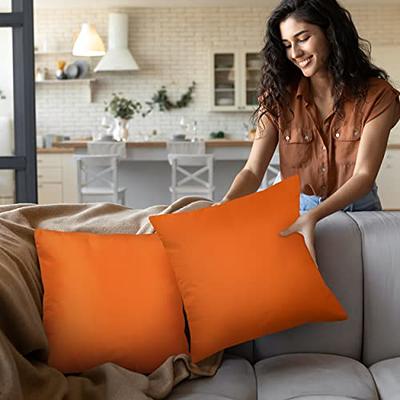 Utopia Bedding Throw Pillows Insert (Pack of 2, Orange) - 18 x 18 Inches  Bed and Couch Pillows - Indoor Decorative Pillows - Yahoo Shopping