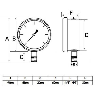 Watts 3/4 in. Plastic Water Pressure Test Gauge DP IWTG - The Home