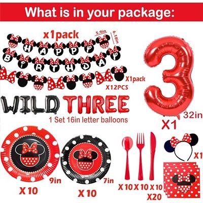 Mickey Minnie Mouse Party Supplies Banner Balloons Birthday Party Set  Decoration