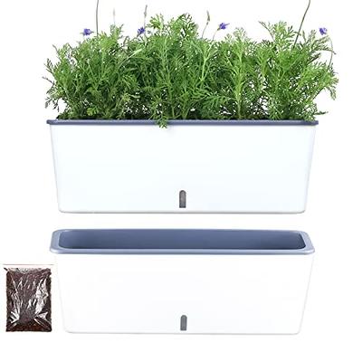 Cheap White Large Self Watering Plastic Planter Gardening Flower Pots -  China Plastic Flowerpot and Black Flowerpot price