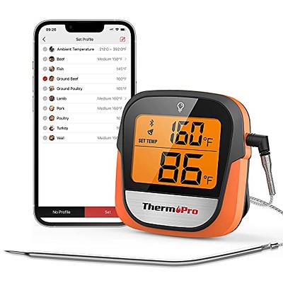 BBQ Dragon 6-Channel Wireless Smartphone Meat Thermometer with 2 Probes  Included BBQD360 - The Home Depot