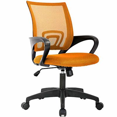 Mesh Office Chair Desk Chair Computer Chair with Lumbar Support Armrest Mid  Back Rolling Swivel Adjustable Task Ergonomic Chair for Women Adults, Set  of 2 