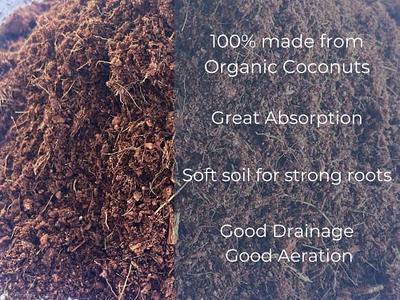 62.1 Gallons Coco Coir Brick for Plants- 27 Pack Coconut Coir