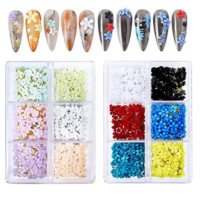 3D Flower Nail Charms and Silver/Gold Caviar Beads,6 Grids Acrylic Flowers  Nail Design with Metal Nail Ball, Cherry Blossom Spring with Nail Stud,  Nail Art Supplies for DIY Manicure Nail Decoration Colorful
