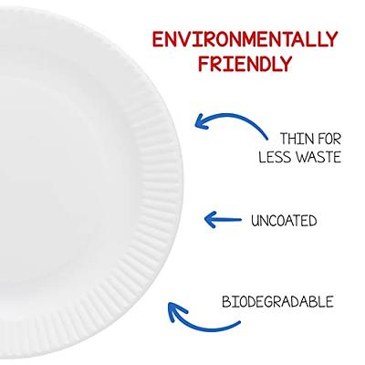 Compostable Paper Plates, 6 Inch Paper Plates Uncoated