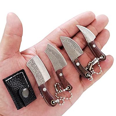 Epichao 4pcs Mini Pocket Knife Set Little Chef Knife Set Tiny Knife Cleaver  Small Thumb Multitool Box Cutter Tools - Yahoo Shopping