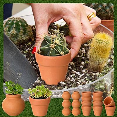 10-Pack 2-Inch Mini Terracotta Pots with Drainage Holes for