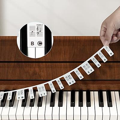 Removable Piano Keyboard Note Labels - Silicone Piano Notes Guide for  Beginner, Piano Key Music Notes Letter Label Without Stickers for 88/61 Key  Full