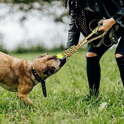 Dog Outdoor Bungee Hanging Toy