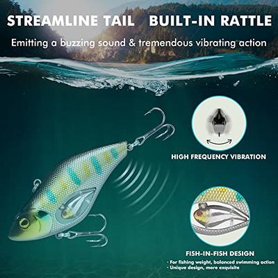 TRUSCEND Fishing Lures Lipless Crankbaits, Crank Baits for Bass Fishing All  Water Layers, Swimbait for Bass Walleye Pike, Bass Baits and Lures Kit for  Freshwater or Saltwater, Fishing Gifts for Men 