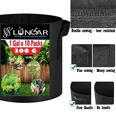 LUNGAR Plant Grow Bags - 10 Gallon 5 Packs Planter Pot, Thickest Aeration  300G Non-Woven Fabric, Reinforced Handles for Weatherproof Nursery Pot