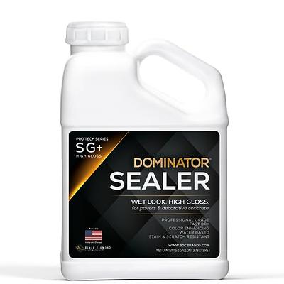 1 Gal. DOMINATOR SG+ Clear Acrylic Sealer, High Gloss Concrete Paver  Sealer, Wet Look, Color Enhancing, Professional Grade, Decorative  Concrete, Fast Dry