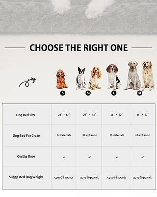 Large Dog Beds to Small Dog Beds: Choosing the Perfect Size Dog