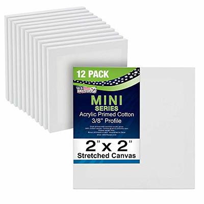 U.S. Art Supply 2 x 2 Mini Professional Primed Stretched Canvas (1 Pack  of 12-Mini Canvases) - Ideal for Painting & Crafts - Yahoo Shopping