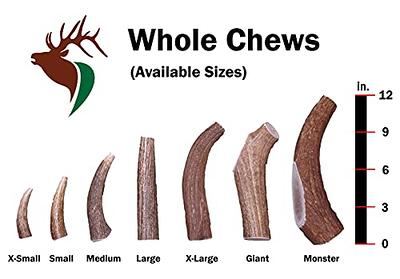 Elk Antler Chews, Premium Dog Treats & Gear