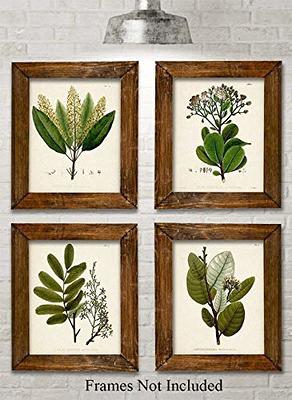 Sage Green Wall Prints, Green Wall Art, Green Kitchen Decor