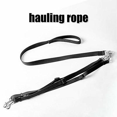 Two-headed traction rope pulls two dogs drags two walks the dog