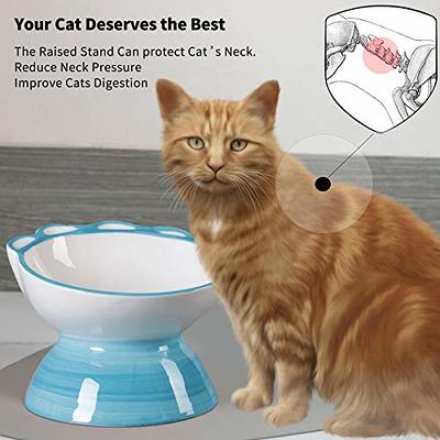 Raised Cat Food Bowl ,Elevated Cat Feeder Bowl Stand, Food & Water Cat  Bowl, Shallow Ceramic Cat Dish, Whisker Friendly No Spill Water Bowl for  Cats