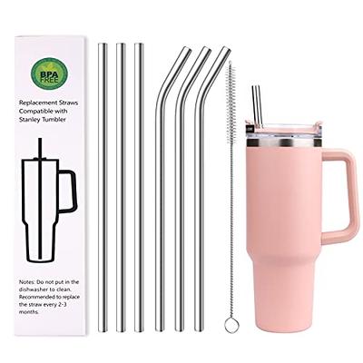  6pcs Straw Replacement for Stanley Cup Accessories, Reusable  Straws for Stanley 40 oz 30 oz and Simple Modern Trek Tumbler with Handle,  Bottle Straws with Cleaning Brush for Stanley 40oz Jug (