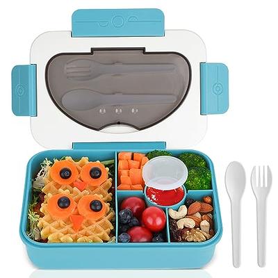 Lunchbox Compartments Kids, Bento Lunch Boxes Adults