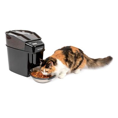 Petsmart sales dog feeder