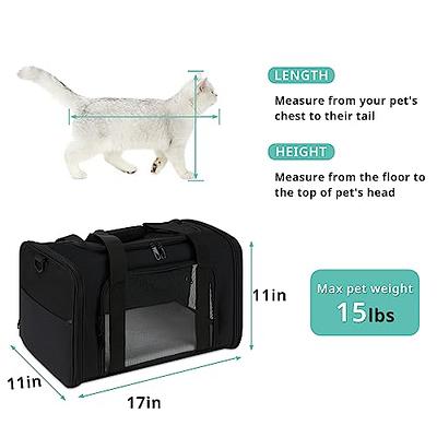Portable Cat Carrier- Soft Sided Cat Carrier For Medium Cats And Small Dogs  Up To 15lbs, Pet Carrier Bag, Airline Approved Travel Dog Carrier, Handheld  Pet Bag, Pet Carrier Backpack
