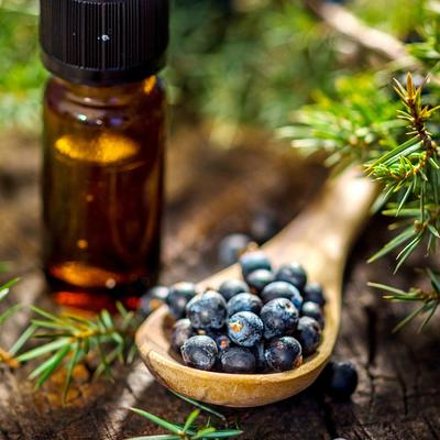 Juniper Berries - Yahoo Shopping