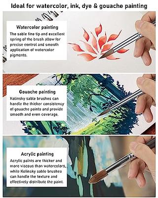 Meeden Paint Brushes, 12 Pcs Acrylic Brush, Paint Brushes For Acrylic  Painting, Paint Brush For Acrylic, Gouache Paint Brushes, Watercolor Brushes