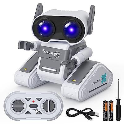 Two Rechargeable Talking Robots for Kids - Repeating Toys Interactive  Educational with Sound & Touch Sensitive Led Eyes, Flexible Metal Body, for  3 4