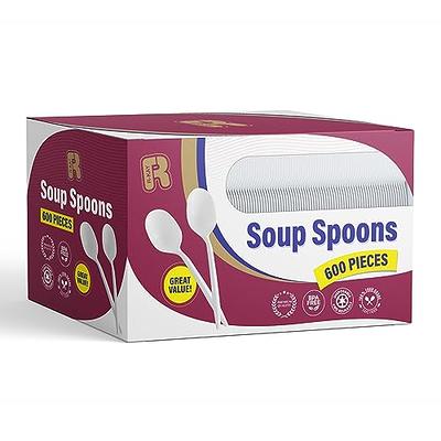 Plastic Spoons 600 Pack - Plastic Silverware Medium Weight