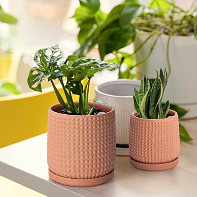 Set of 2 Terracotta Pots, 4 Inch and 6 Inch, Planter Pots for Plants with  Draina