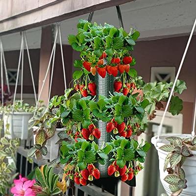 4/8 Pockets Strawberry Plant Planter Bag Vertical Garden Hanging Veg Growing  Bag