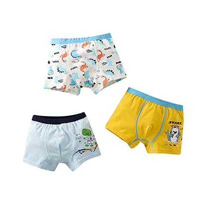 Baby Shark Boy's Briefs