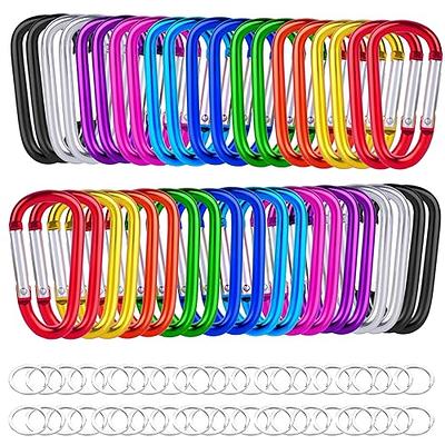 20 pcs Carabiner Clip Keychains 2 Aluminum D-Ring Spring Small Carabiners  Clip Set for Outdoor