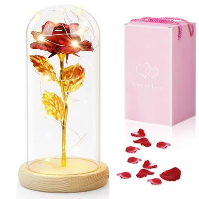  (Ready-to-use, Scented) 1,000 PCS Silk Rose Petals for Wedding  Flower Petals for Romantic Decorations Special Night for Him Set or Her,  for Proposal Anniversary Valentine's (Dark Red) : Home & Kitchen