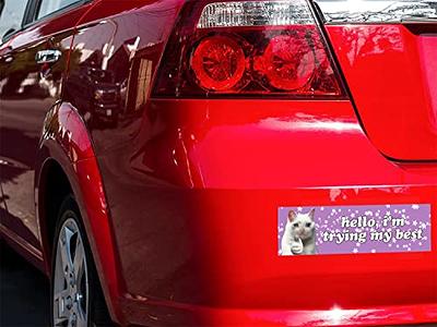  Cat Crying Meme Sticker Decal Vinyl Bumper Sticker Decal  Waterproof 5 : Automotive