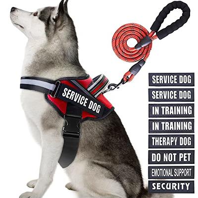 Service Dog Vest Harness and Leash Set, Animire in Training Dog Harness  with 8 Dog Patches, Reflective Dog Leash with Soft Padded Handle for Small,  Medium, Large, and Extra-Large Dogs (RED,XL) 