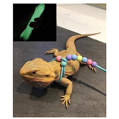  3 Packs Bearded Dragon Harness and Leash Adjustable(S,M,L) -  Soft Leather Reptile Lizard Leash for Amphibians and Other Small Pet  Animals : Pet Supplies