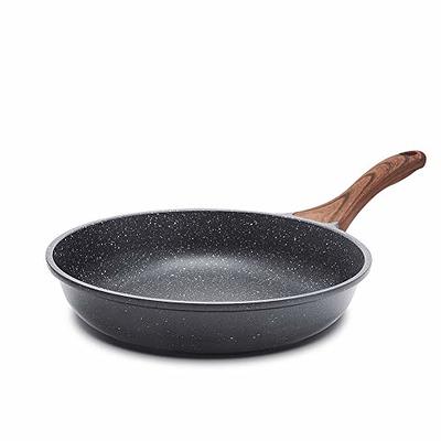 DaTerra Cucina Professional 13 Inch Nonstick Frying Pan , Italian Made  Ceramic Nonstick Pan Saut Pan, Chefs Pan, Non Stick Skillet Pan for  Cooking