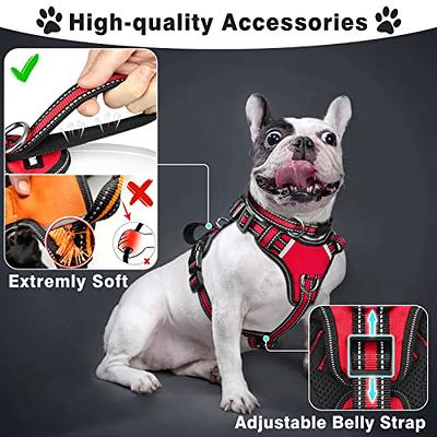 WINSEE Pet Harness Collar and Leash Set, All-in-one Reflective Dog