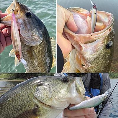 Jerkbait-for-Bass-Fishing-Minnow-Lure-Suspending-Jerk-Baits-Fishing-Lures  Kit