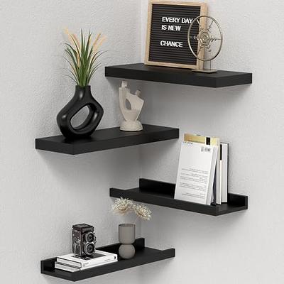 Boswillon Black Floating Shelves Set of 2, Wall Mounted Small Shelves for  Room, Modern Hanging Shelves for Wall Decor, Display Wall Storage Shelves