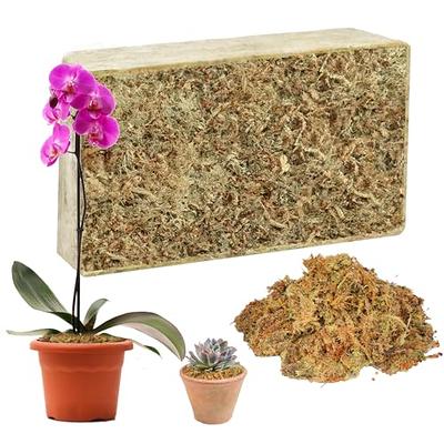 Hourleey 5.3 oz Sphagnum Moss for Plants, Premium Natural Long Fibered  Dried Moss Potting, Sphagnum Peat Moss Bulk for Orchids Succulent  Carnivorous Potted Plant Reptiles Medium Sarracenia - Yahoo Shopping