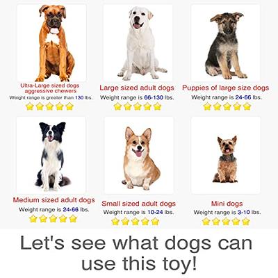 KADTC Dog Puzzle Toy Dogs Brain Stimulation Mentally Stimulating Toys  Beginner Puppy Treat Food Feeder Dispenser Advanced Level 2 in 1  Interactive