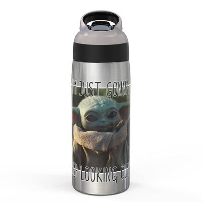 Star Wars: The Mandalorian 19oz Stainless Steel The Child Double Wall Water  Bottle - Zak Designs - Yahoo Shopping