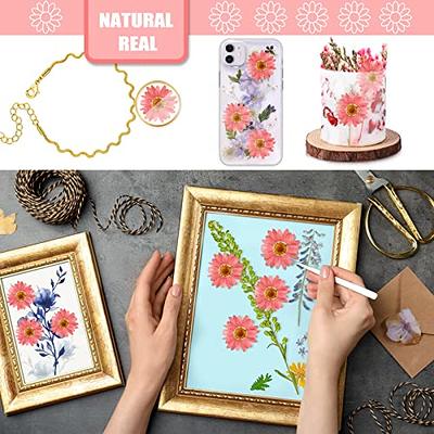 CyHiThai 60PCS Pink Dried Pressed Sunflowers for Crafts  Embellishments,1.2IN Natural Pressed Flowers Margarita Large Daisy for  Resin Jewelry DIY Phone Case Decor Candle Making Decoration - Yahoo Shopping