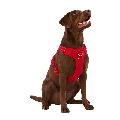 Save on Pet Collars & Harnesses - Yahoo Shopping